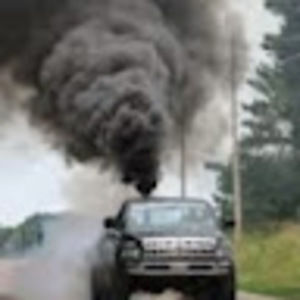 Meet your Posher, Joan